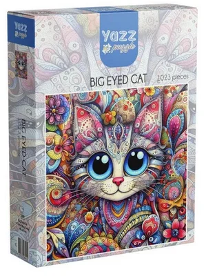 Big Eyed Cat