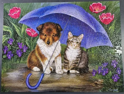 Shower Me With Love