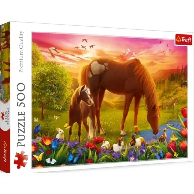Chevaux dans le pré