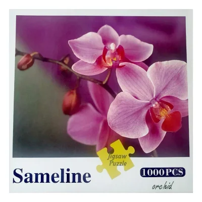 Orchid
