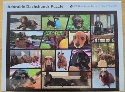 Adorable Dachshunds