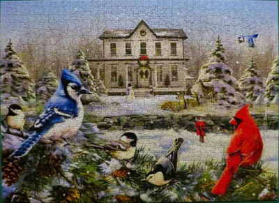 Country House Birds