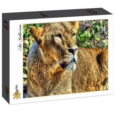 Lioness