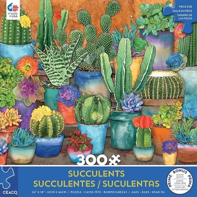 Cactus Pots