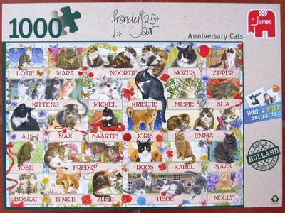 Anniversary Cats