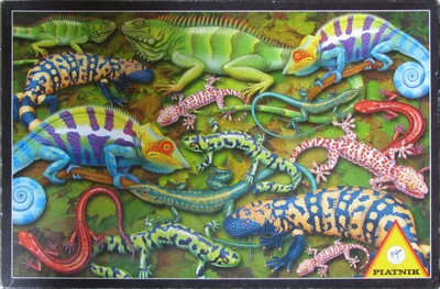 Salamander