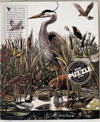 Wetlands