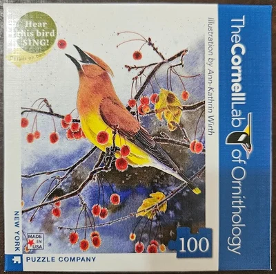 Cedar Waxwing