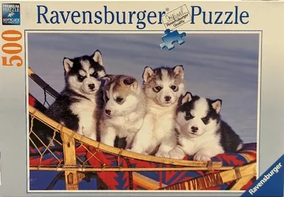 Husky Puppies