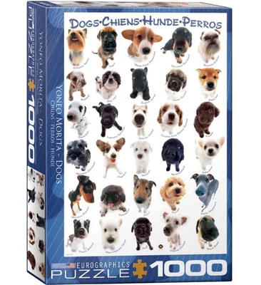 Dogs