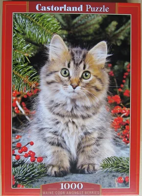 Maine Coon Amongst Berries