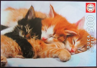 Kittens