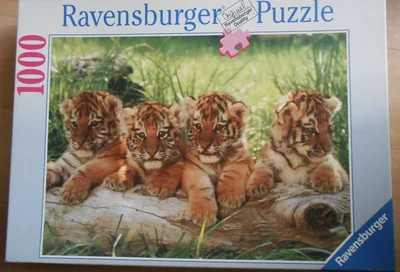 Bébés tigres
