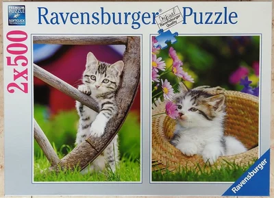 Kittens in the Countryside