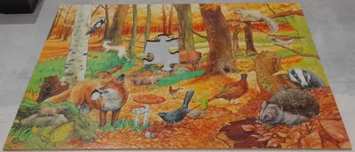 Automne dans la foret