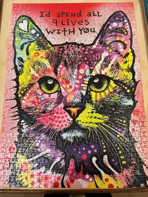 9 Lives