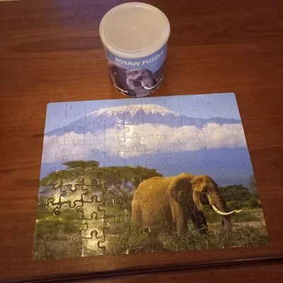 Elephant