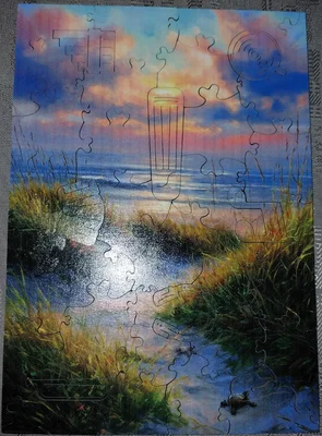 Herbe de plage