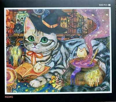 Little Witch Cat