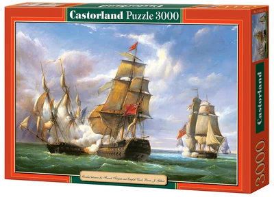 Combat between the French Frigate and English vessel - La bataille de Trafalgar
