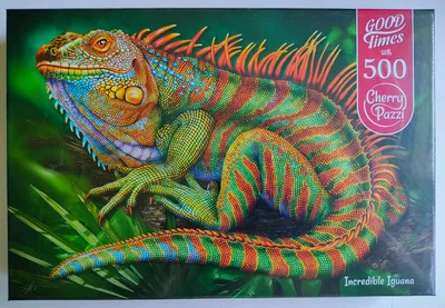 Incredible iguana