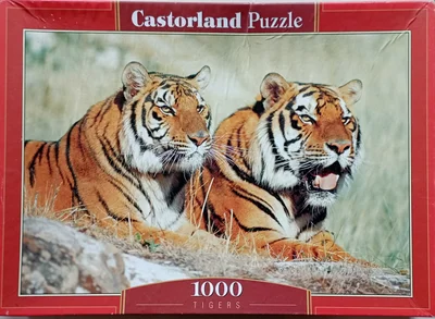 Tigers