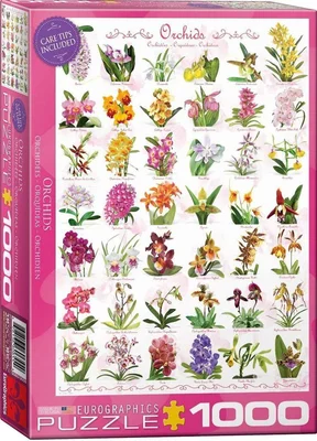 Orchids