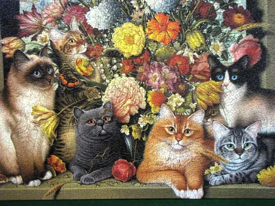 Boucat
