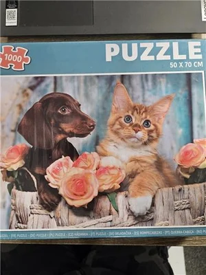 Chien et Chat