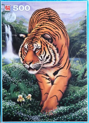 The Tiger