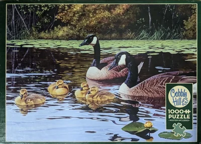 Platts Pond