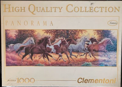 Chevaux au galop