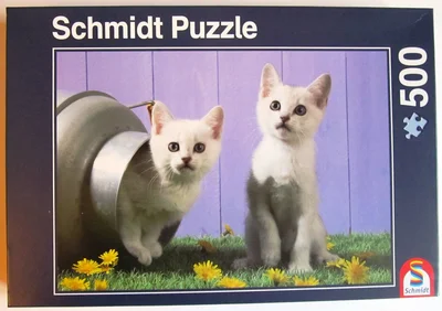 Cat Sisters
