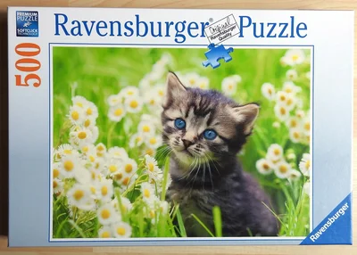 Kitten in the Meadow