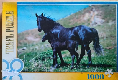 Black horses