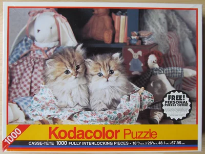 In the Toy Room