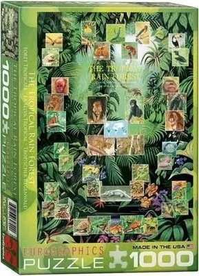 The Tropical Rain Forest