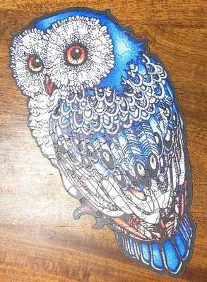 Owl