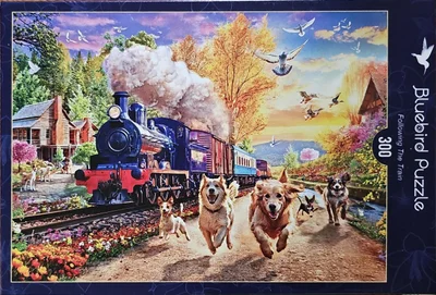 Following the Train