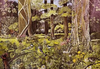 Behind the Squires, Devon