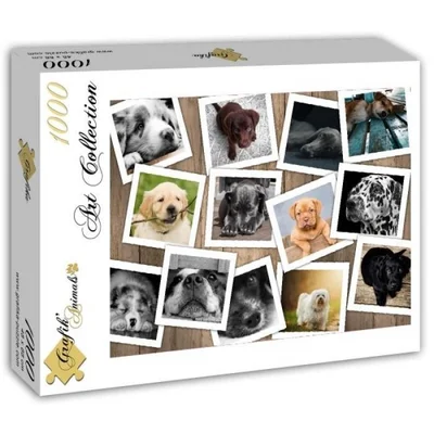 Chiens