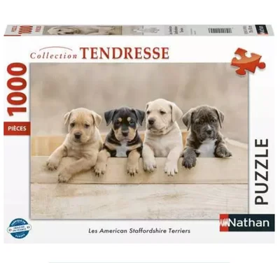 Les American Staffordshire