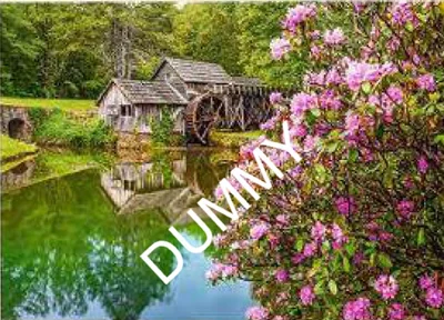 Mill by the Pond