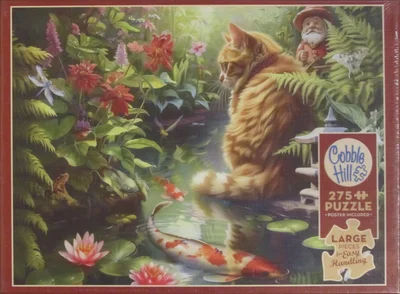 Koi Cat