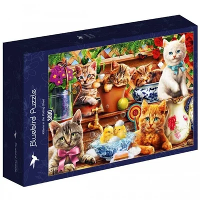 Kittens in the Potting Shed