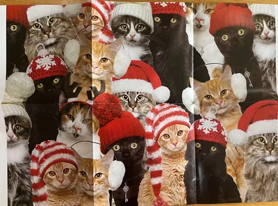 Holiday Cats