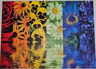 Floral Reflections