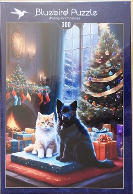 Waiting for Christmas