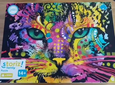 Chat coloré