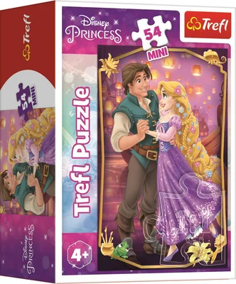 Flinn et Raiponce